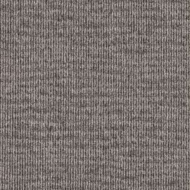 Ventura Project-SDN – 608561