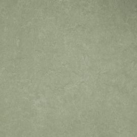 Dynamic Lino – 747261