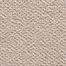 Miracle SDY – 340571