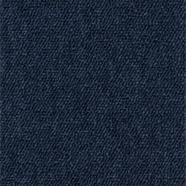 Robusta Project-SDN – 480451