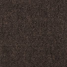 Robusta Project-SDN – 480480