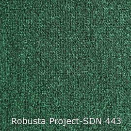 Robusta Project-SDN – 480443