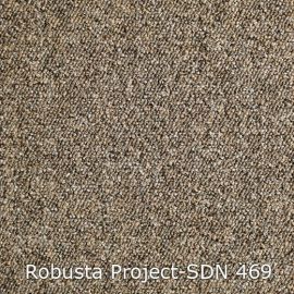 Robusta Project-SDN – 480469