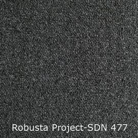 Robusta Project-SDN – 480477