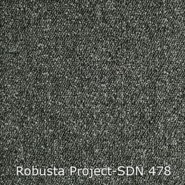 Robusta Project-SDN – 480478