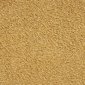 Harmony SDY – 230398