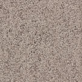 Ravenna SDY – 470556