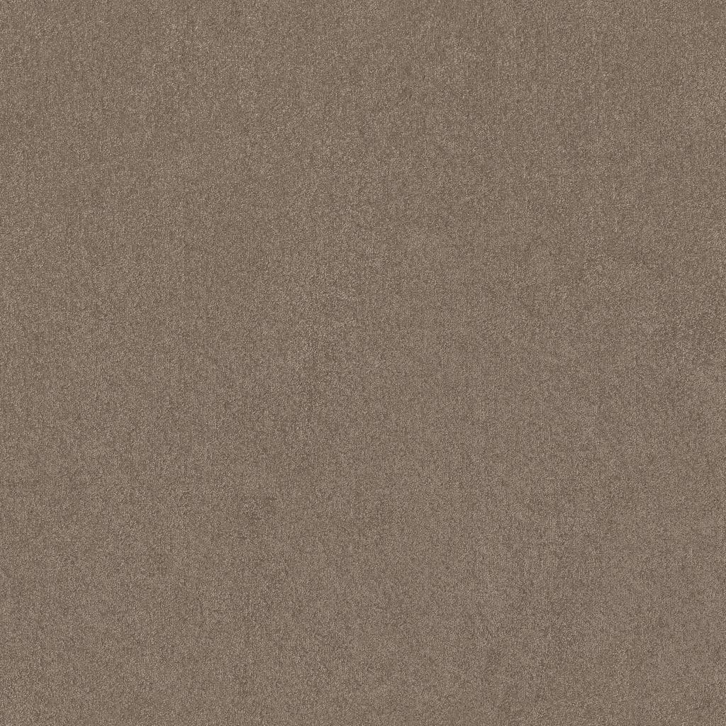 Tapijt taupe trapgeschikt actie - ART Woninginrichting