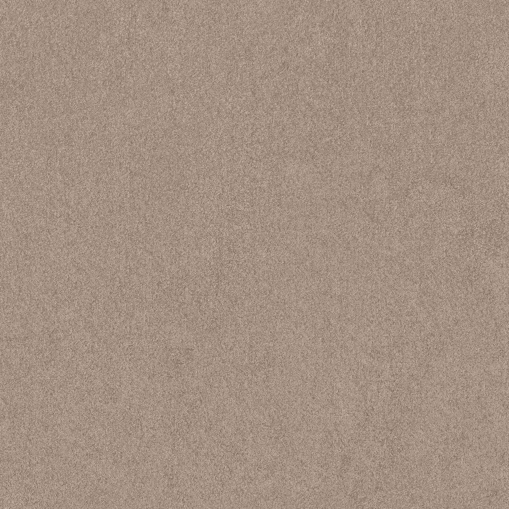 Tapijt Zand trapgeschikt actie - ART Woninginrichting