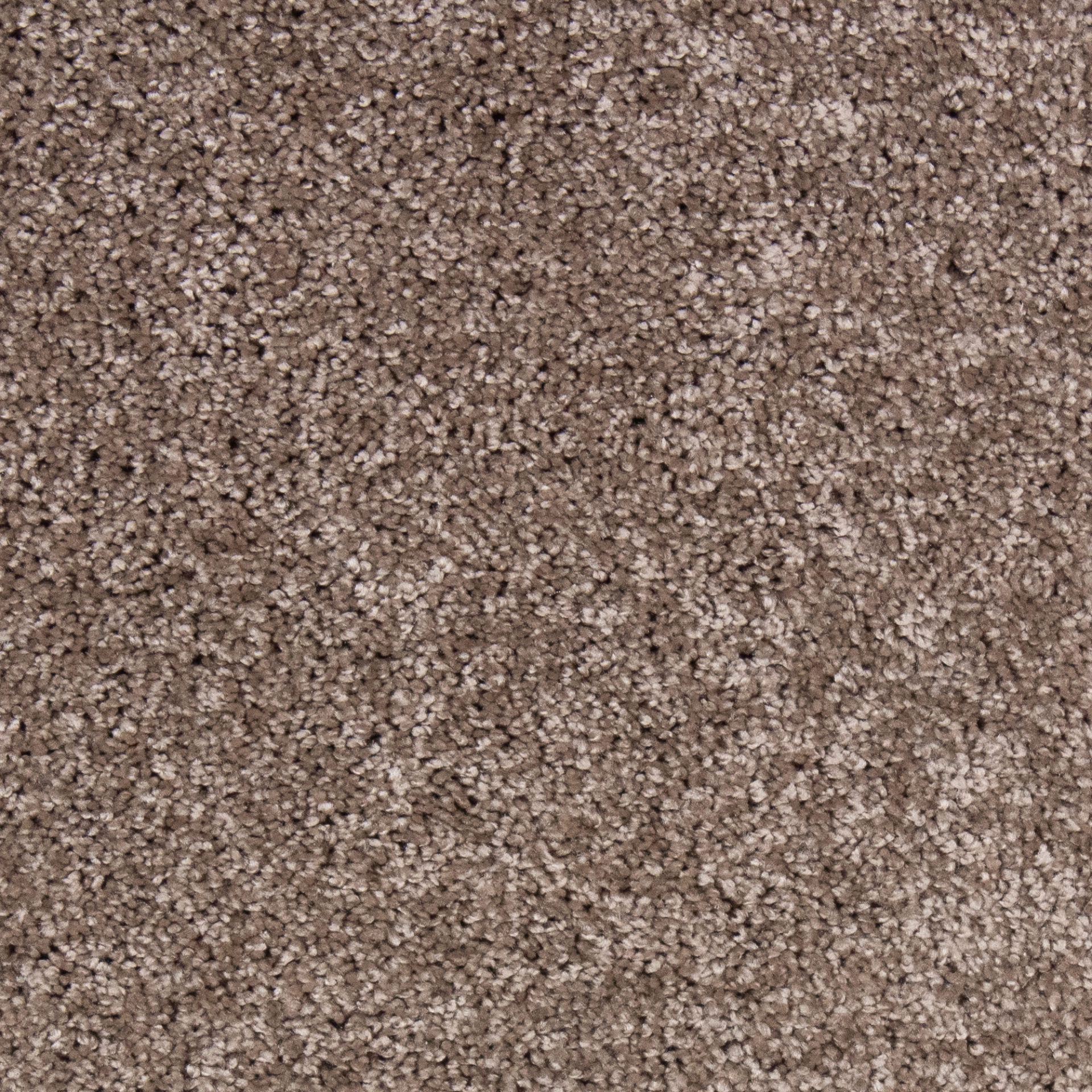 Tapijt aanbieding taupe geschikt voor trappen en kamers actie 2 - artwoninginrichting